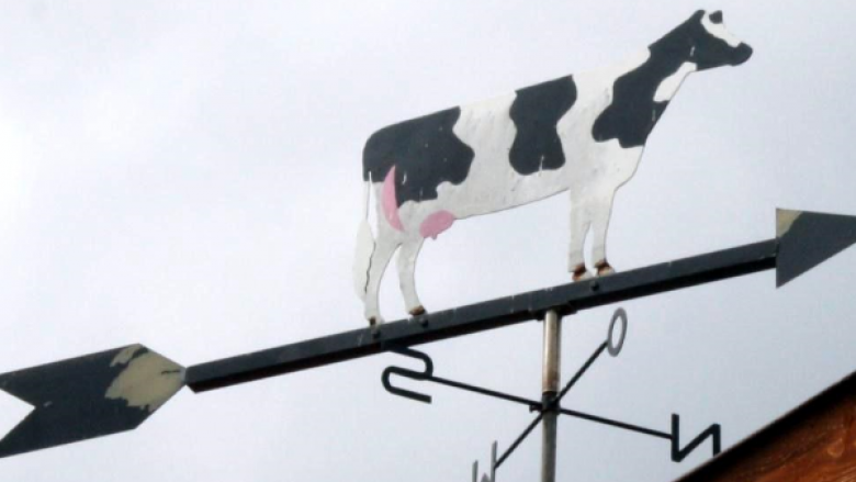 Lösung für ungetrennte Hofräume in Sicht Lösung für ungetrennte Hofräume in Sicht